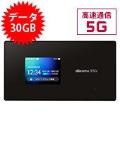 【法人限定】【30GB】【30日レンタルパック】ドコモSH-52A5G