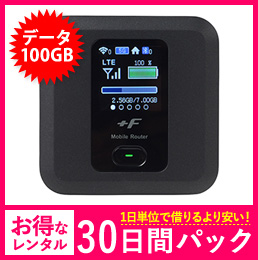 【100GB】【30日レンタルパック】FS030